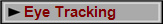  Eye Tracking